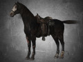 animal - horse b01 Modello 3D