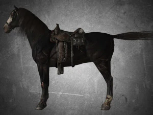 animal - horse b01 3D Model
