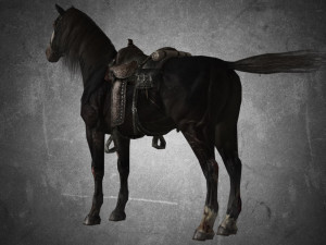 animal - horse b01 3D Модель