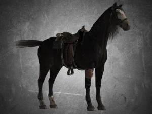 animal - horse b01 3D Модель