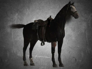 animal - horse b01 3D Model