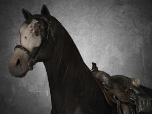 animal - horse b01 3D Model