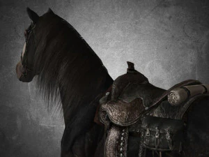 animal - horse b01 3D Model