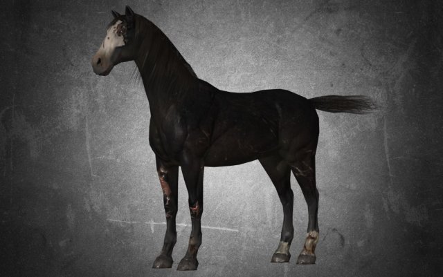 animal - horse b02 nogear 3D Model .c4d .max .obj .3ds .fbx .stl .blend 