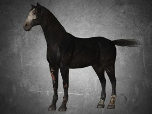 hayvan - at b02 nogear 3D Model