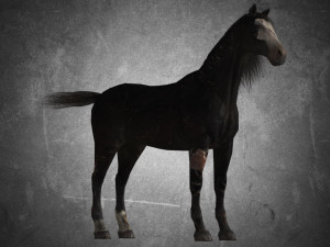animal - horse b02 nogear 3D Model