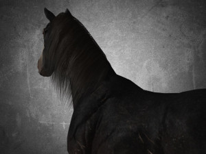animal - horse b02 nogear 3D Model