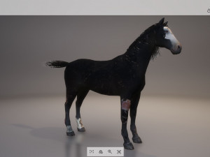 animal - horse b02 nogear 3D Model