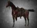 animal - horse b03 Modello 3D