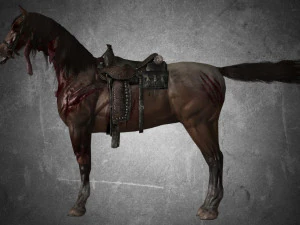 animal - horse b03 3D Model