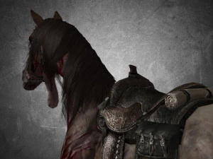 animal - horse b03 3D Model