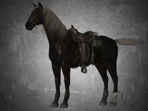 animal - horse b05 3D 模型