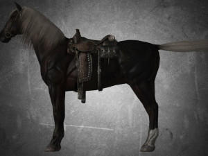 animal - horse b05 3D Модель