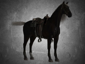 animal - horse b05 3D Модель