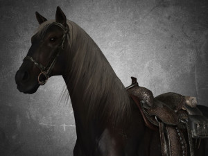 animal - horse b05 3D Модель