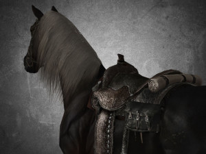 animal - horse b05 3D Модель