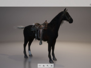 animal - horse b05 3D Модель