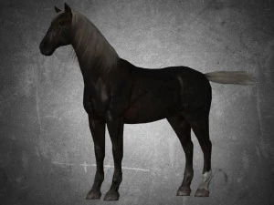 тварина - кінь b06 nogear 3D Модель