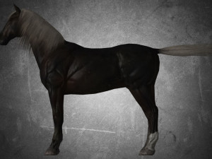 animal - horse b06 nogear Modèle 3D