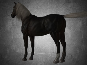 animal - horse b06 nogear Modèle 3D
