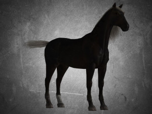 animal - horse b06 nogear Modèle 3D