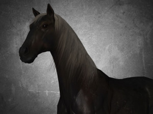 animal - horse b06 nogear Modèle 3D