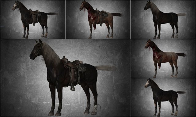 collection animal - horse b01-b06 Modello 3D .c4d .max .obj .3ds .fbx .stl .blend