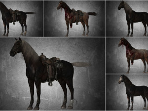 collection animal - horse b01-b06 3D 模型