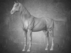 collection animal - horse b01-b06 Modello 3D