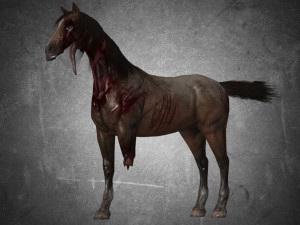 collection animal - horse b01-b06 Modello 3D