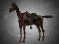 animal - horse c01 Model 3D