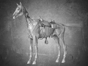 animal - horse c01 3D 모델