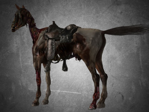 animal - horse c01 3D 모델
