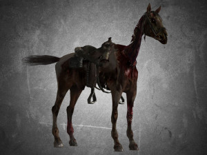 animal - horse c01 3D 모델