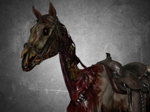 animal - horse c01 3D 모델