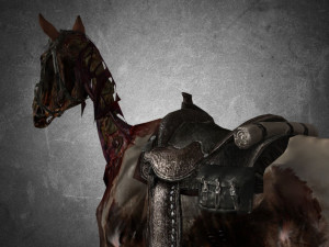 animal - horse c01 3D 모델