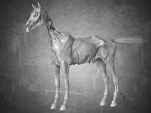 animal - horse c02 nogear 3D-Modell