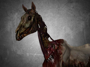 animal - horse c02 nogear 3D Model