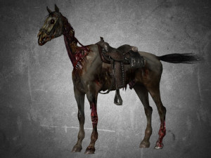 animal - horse c03 3D 模型
