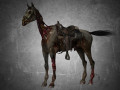 animal - horse c03 Model 3D