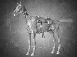 animal - horse c03 Modelo 3D
