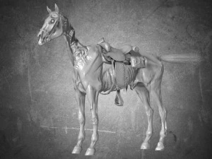animal - horse c03 3D Model
