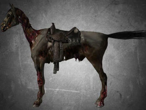 animal - horse c03 3D Model