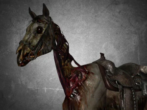 animal - horse c03 3D Model