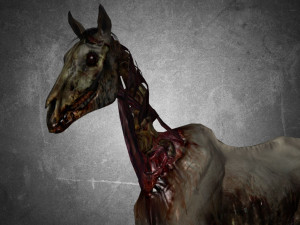 animal - horse c04 nogear Model 3D