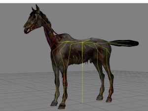 animal - horse c04 nogear Model 3D