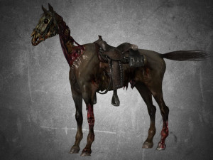 animal - horse c05 3D 模型