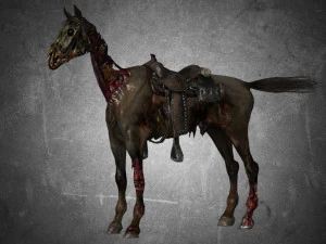 тварина - кінь c05 3D Модель