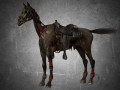 animal - horse c05 Model 3D