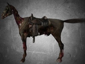 animal - horse c05 3D-Modell